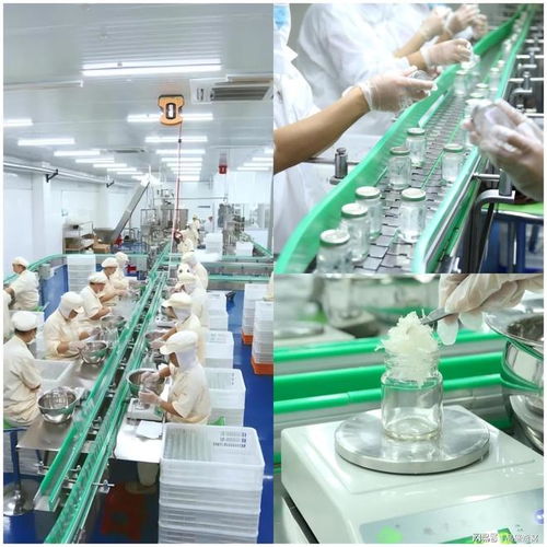 顶尖燕窝定制工厂的产品差异化之路 从配方到服务的全方位技术赋能