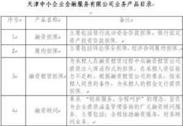中国长城资产管理公司控股子公司 产品技术服务的战略布局与市场竞争力